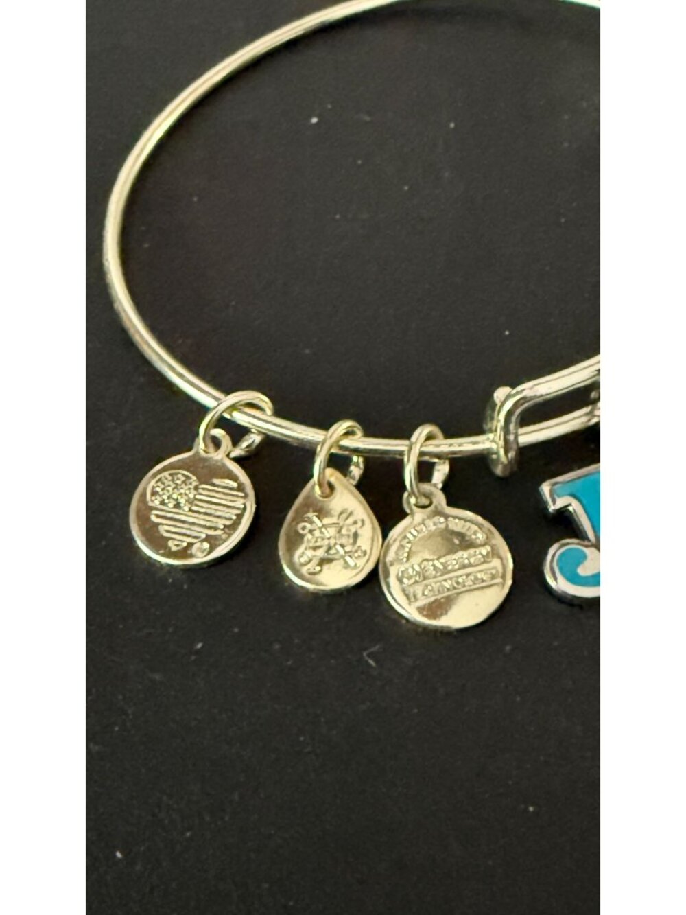 NWOT Alex & Ani Joy Sand Dollar Expandable Bangle Bracelet Silver Tone Beach - Picture 4 of 8